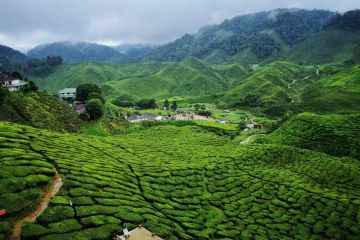 Container for Sale Cameroon from Manufacturer