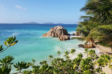 Container for Sale Seychelles from Manufacturer