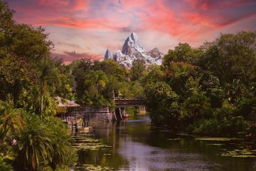 Own Your Congo Mining Camp for Sale Now!