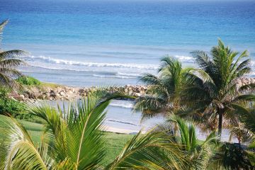 Jamaica's Oil and Gas Camps: Where Comfort Meets Excellence