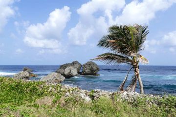 Grenada's Oil and Gas Camps: Where Comfort Meets Excellence