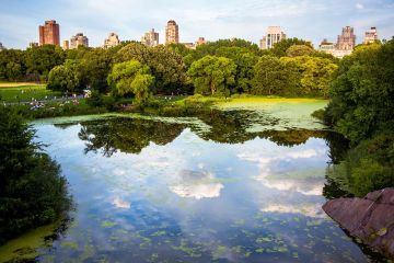 Prefabricated Modular Homes Central African Republic