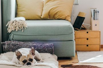 Modular Homes Interior