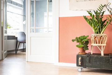 Flat Pack Homes and Inside